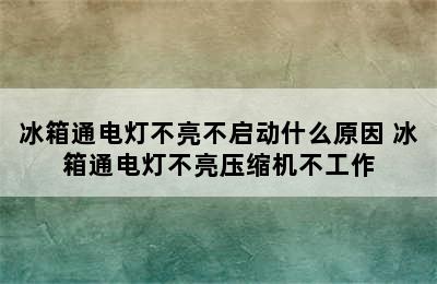 冰箱通电灯不亮不启动什么原因 冰箱通电灯不亮压缩机不工作